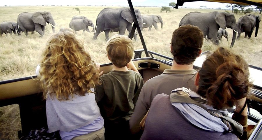 Serengeti Family Day