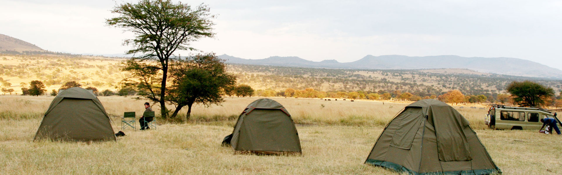 Serengeti Camping