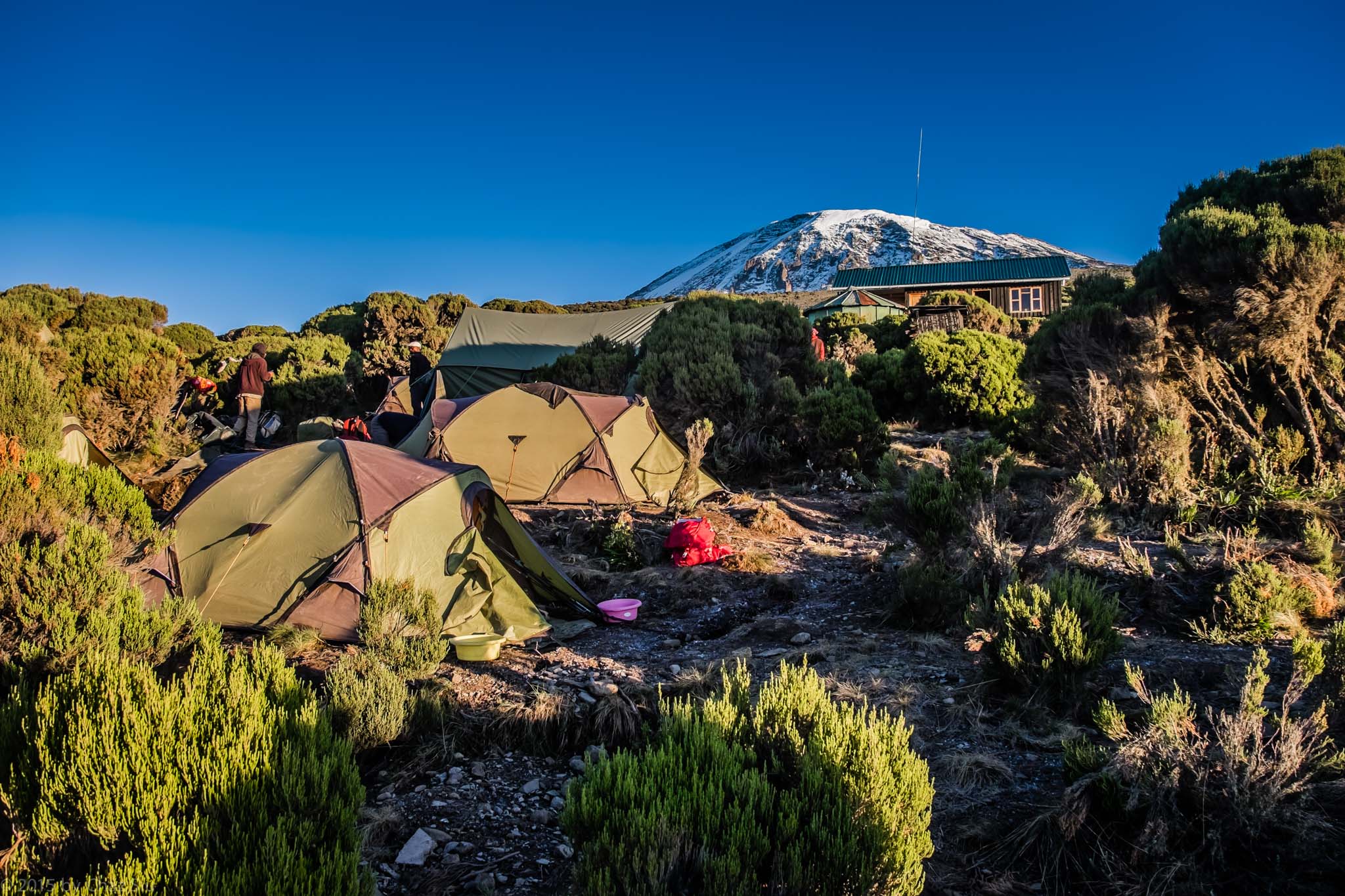 Uhuru Peak Summit
