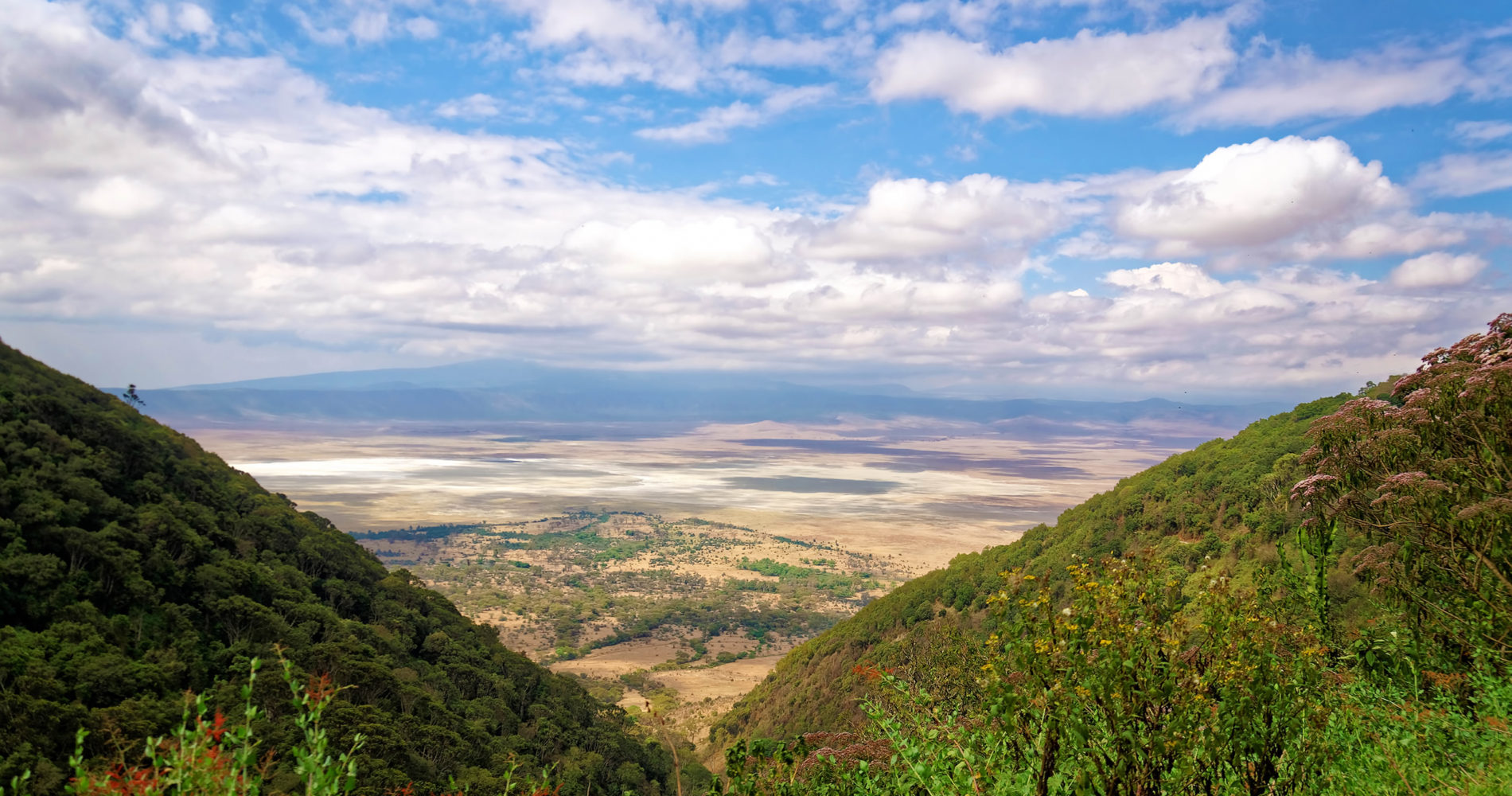 Ngorongoro Crater
