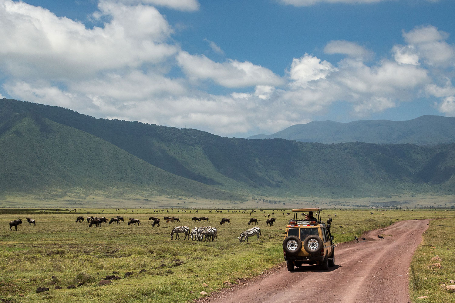 Ngorongoro Crater View