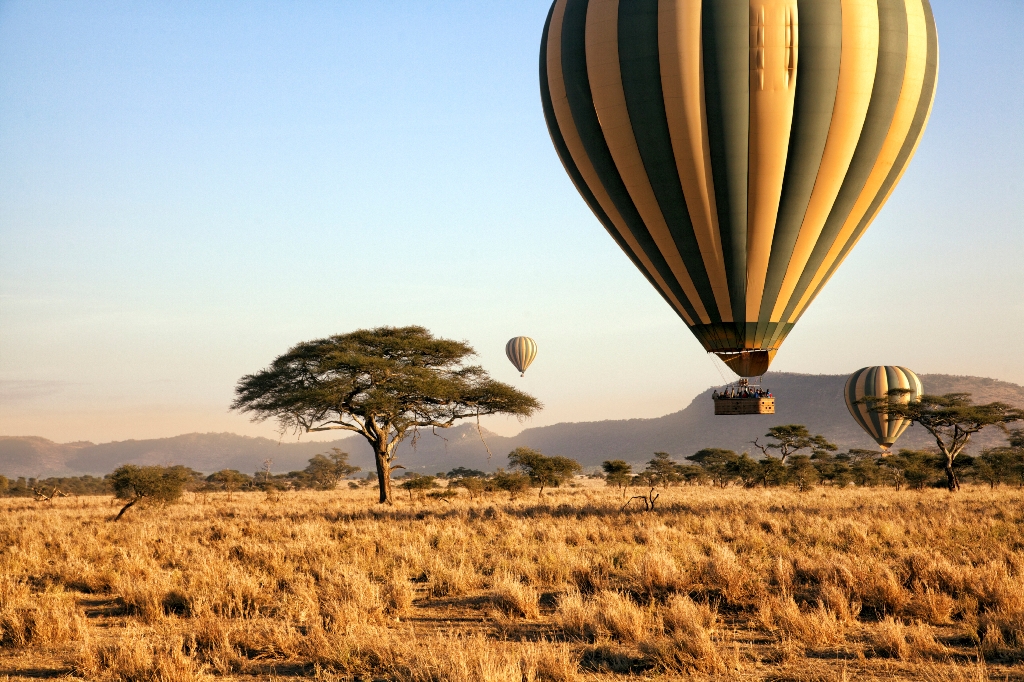 Balloon Safari Experience