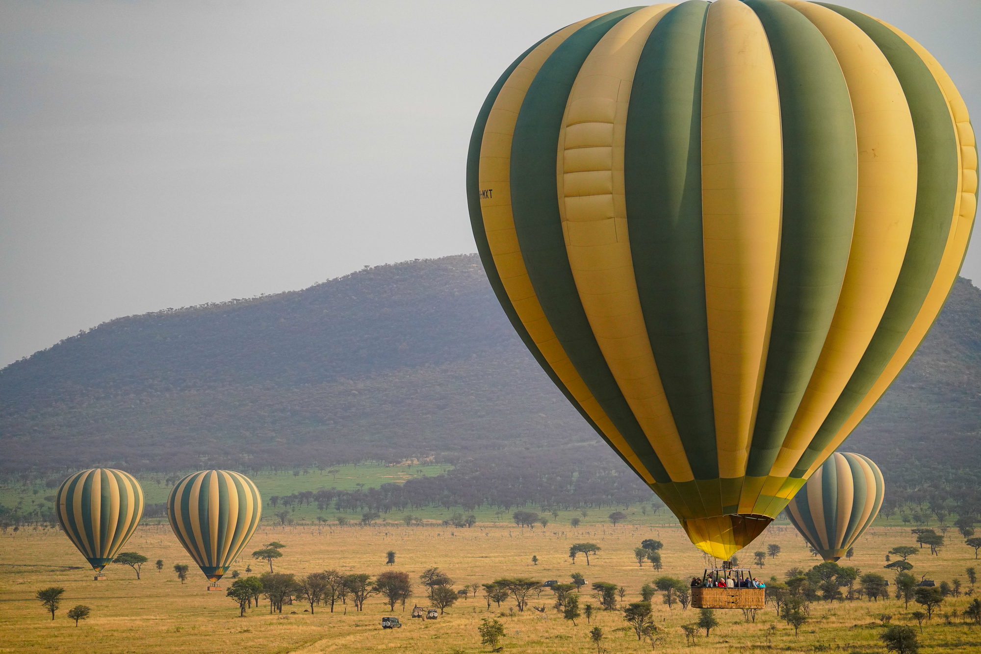 Serengeti Balloon Safari